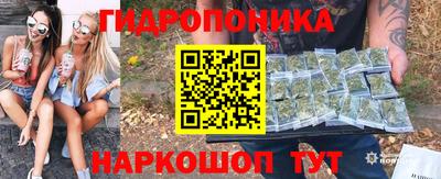 спиды Гусев