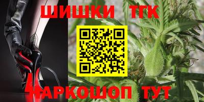 спиды Гусев