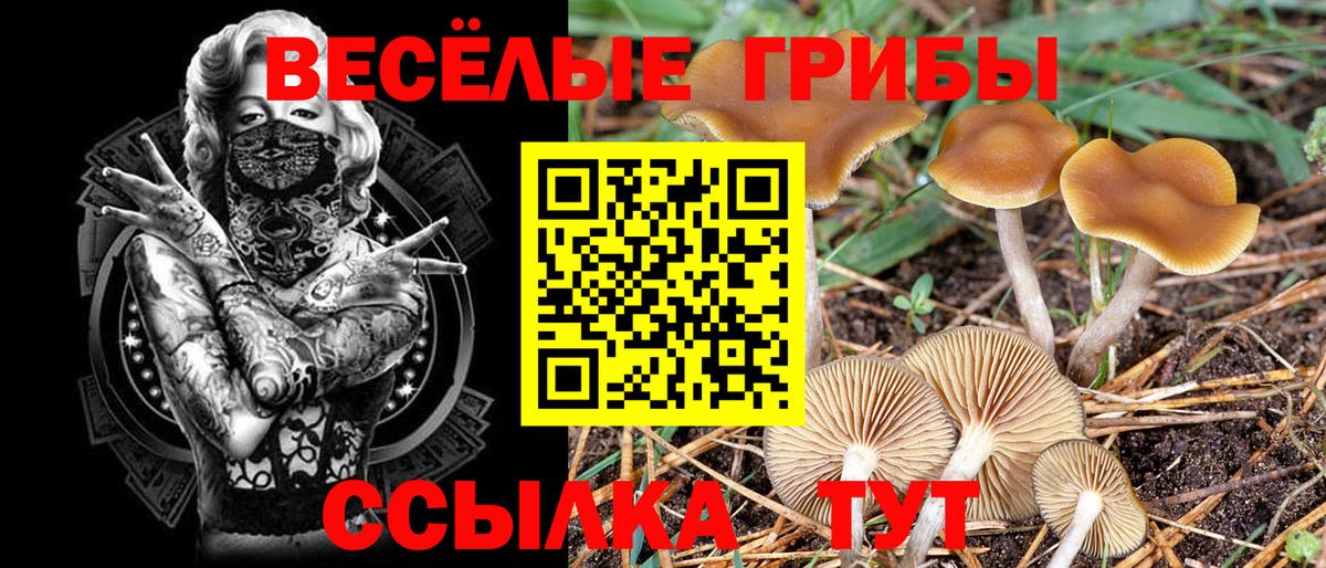 Галлюциногенные грибы GOLDEN TEACHER Нововоронеж