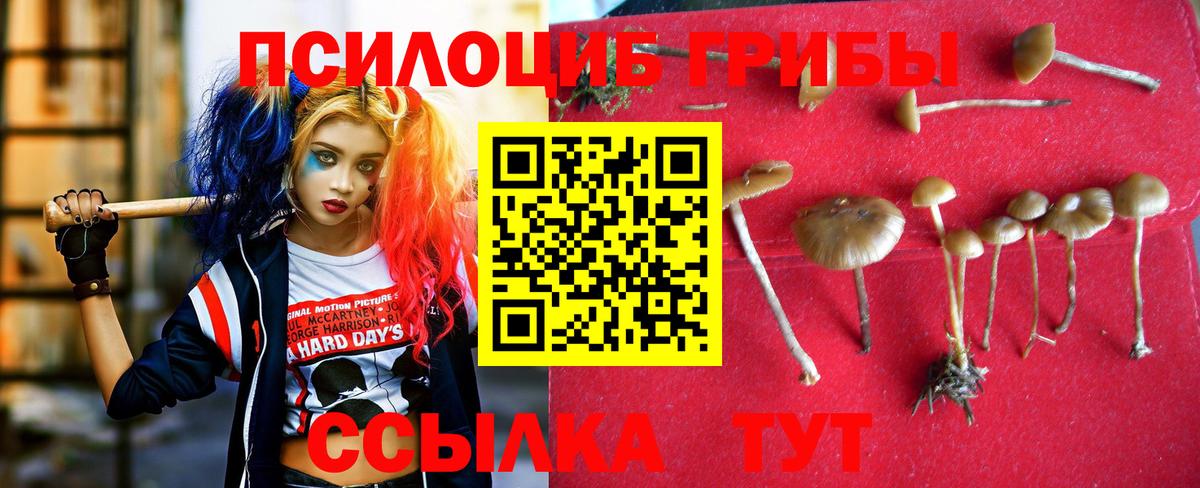 Псилоцибиновые грибы ЛСД  Галлюциногенные грибы ЛСД  Вход с VPN  Нововоронеж 